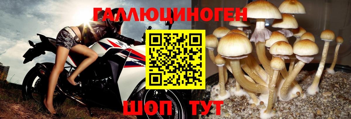 Галлюциногенные грибы мухоморы Похвистнево